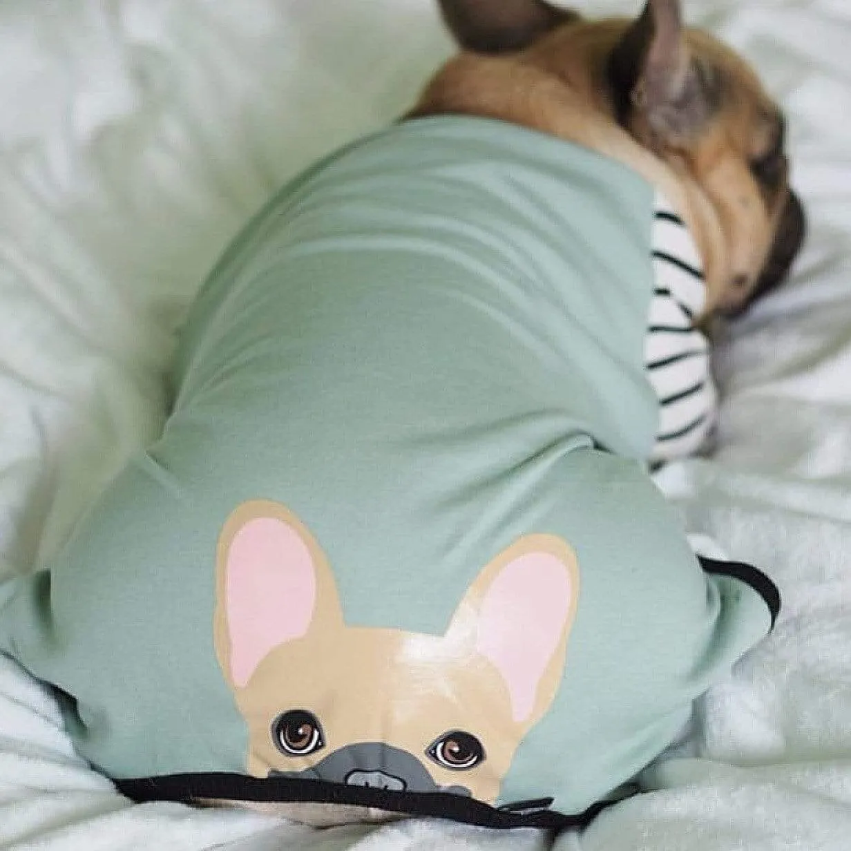 French Bulldog Pajamas | Frenchie Clothing | Fawn Frenchie dog